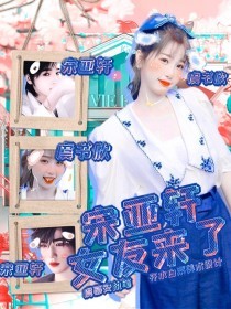 深入了解 小辣椒导航
